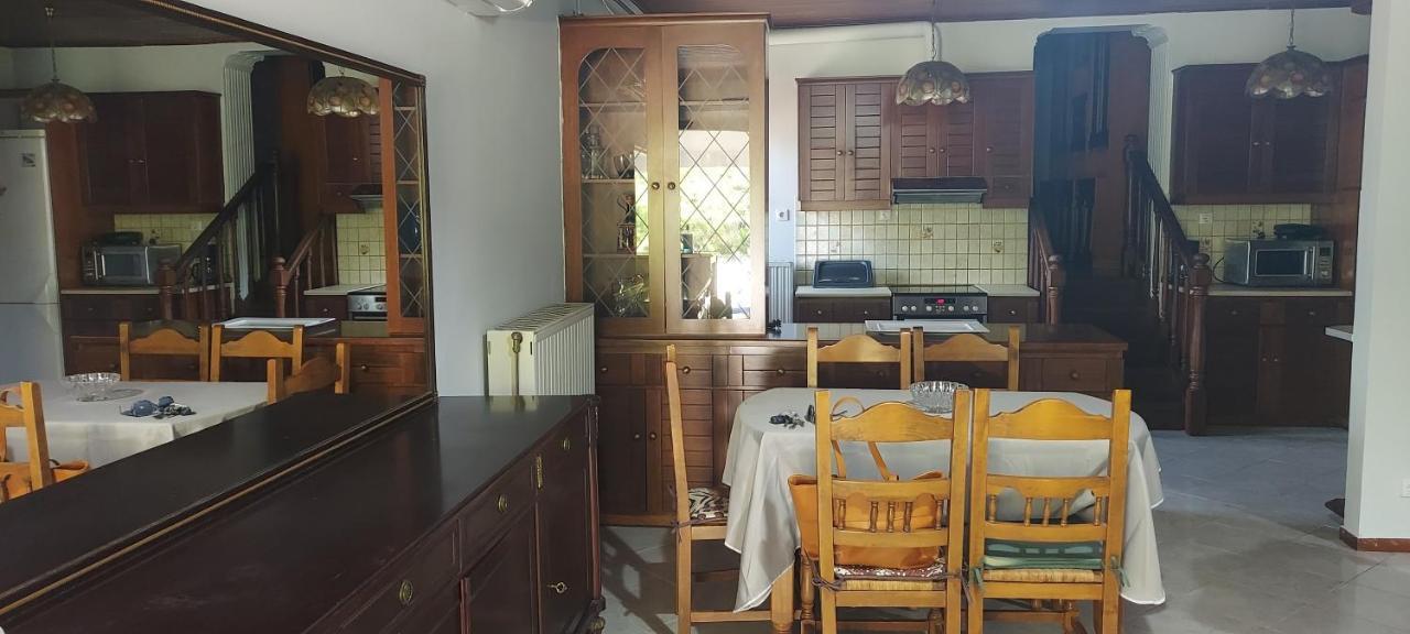 ארטמידה Carlos Apartment מראה חיצוני תמונה